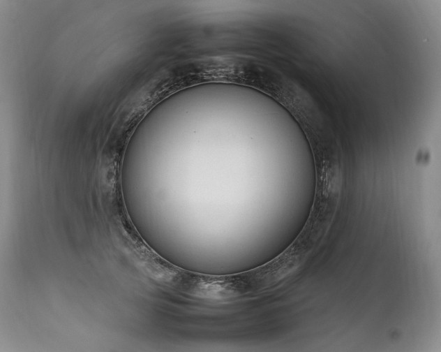 X0000111950753200907271436