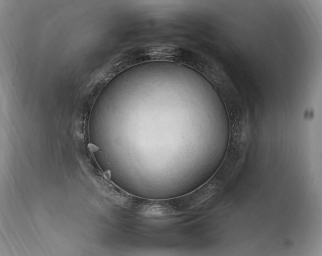 X0000111950755200907271436