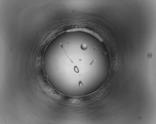 X0000111950756200907271436