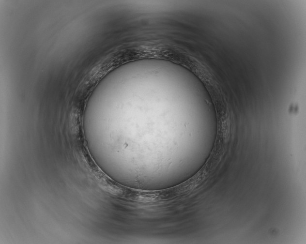 X0000111950757200907271436