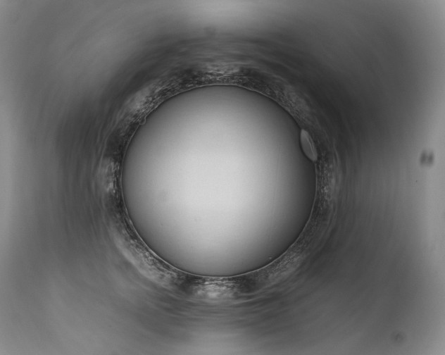 X0000111950758200907271436