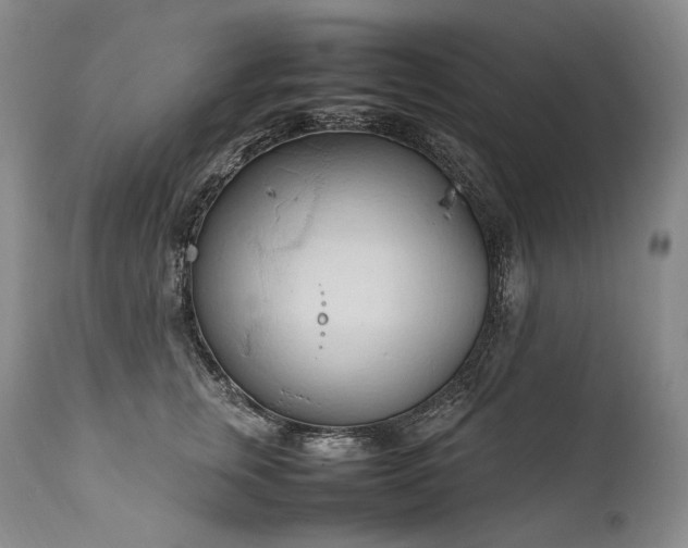 X0000111950759200907271436