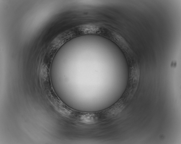 X0000111950761200907271436