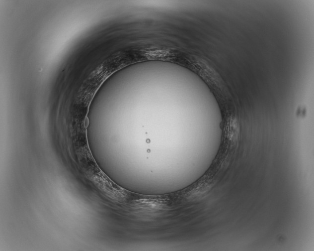 X0000111950763200907271436