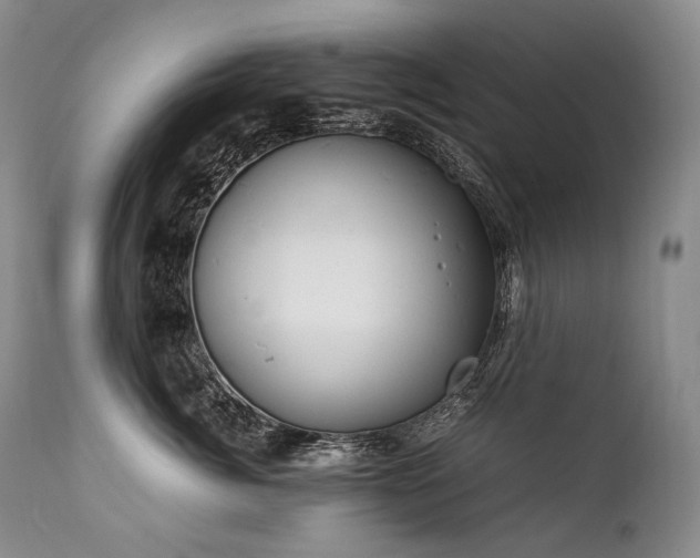 X0000111950764200907271436