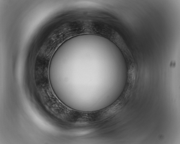 X0000111950765200907271436