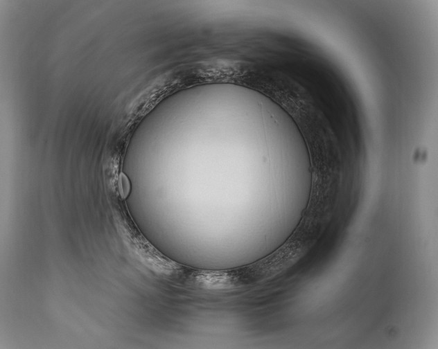 X0000111950767200907271436
