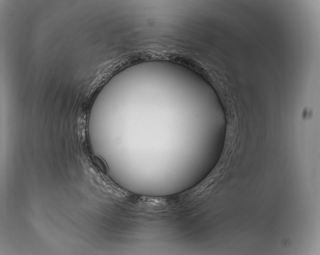 X0000111950768200907271436