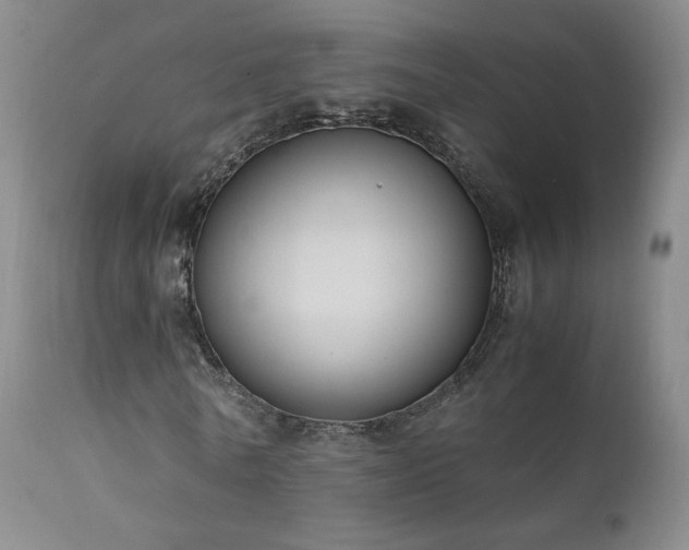 X0000111950770200907271436