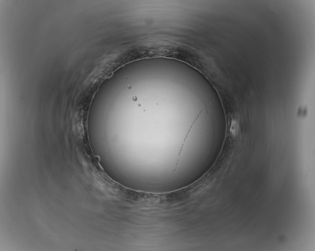 X0000111950771200907271436