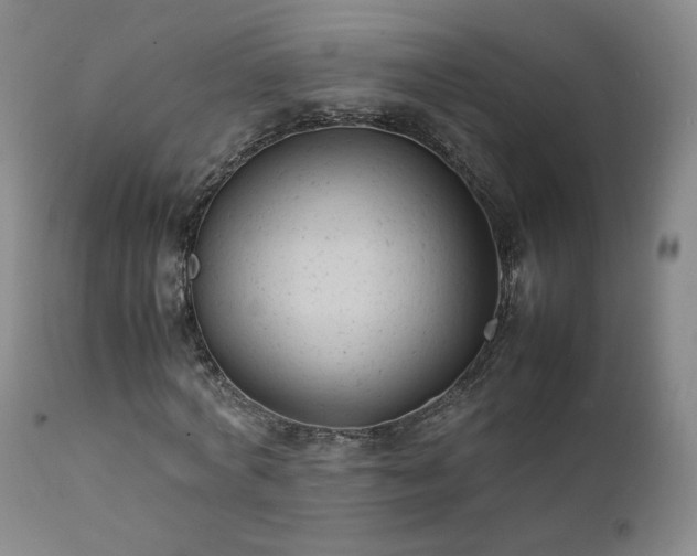 X0000111950772200907271436