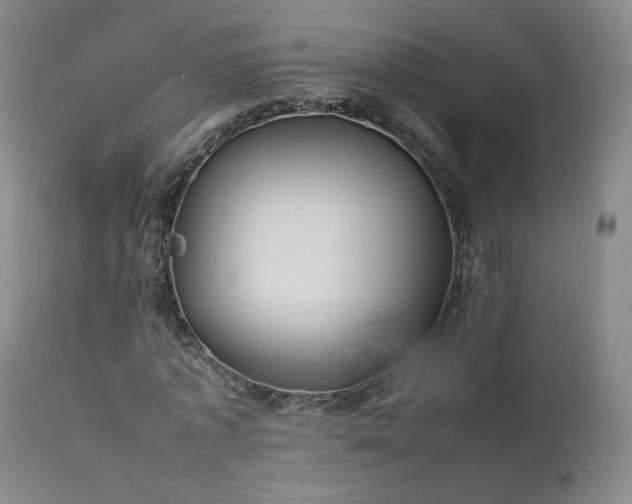X0000111950773200907271436