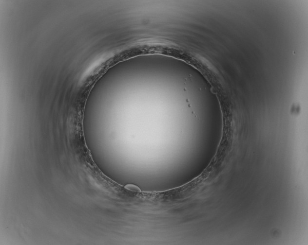 X0000111950775200907271436