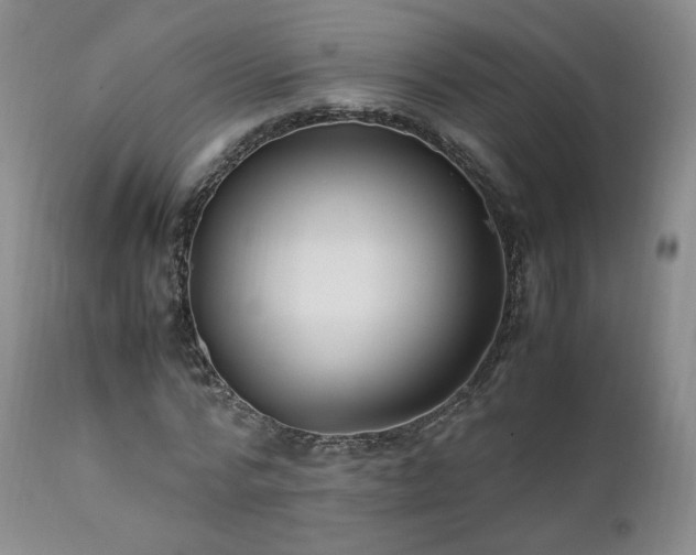 X0000111950776200907271436