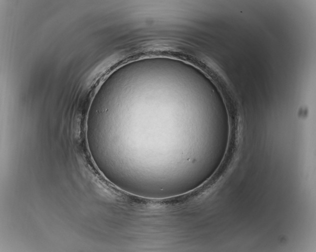 X0000111950777200907271436