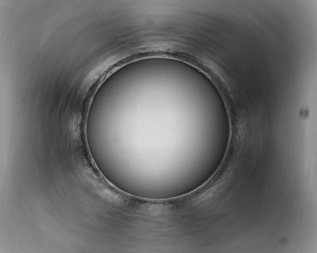 X0000111950778200907271436