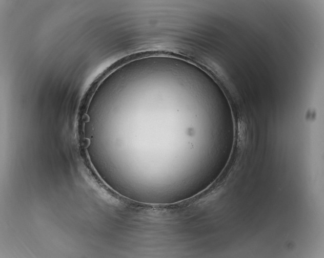 X0000111950780200907271436