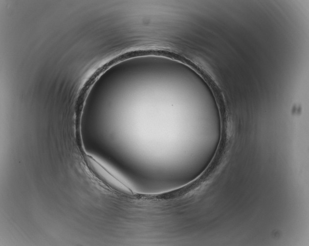 X0000111950781200907271436