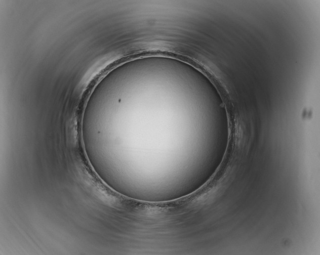 X0000111950782200907271436