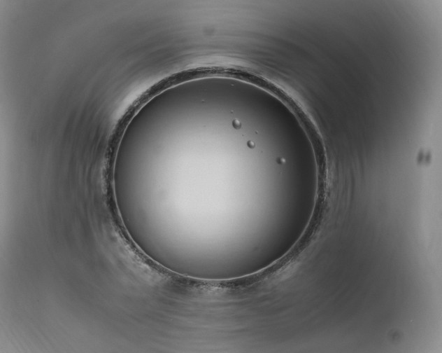 X0000111950783200907271436