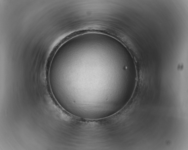 X0000111950784200907271436