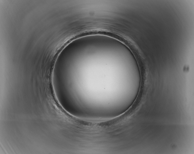 X0000111950785200907271436