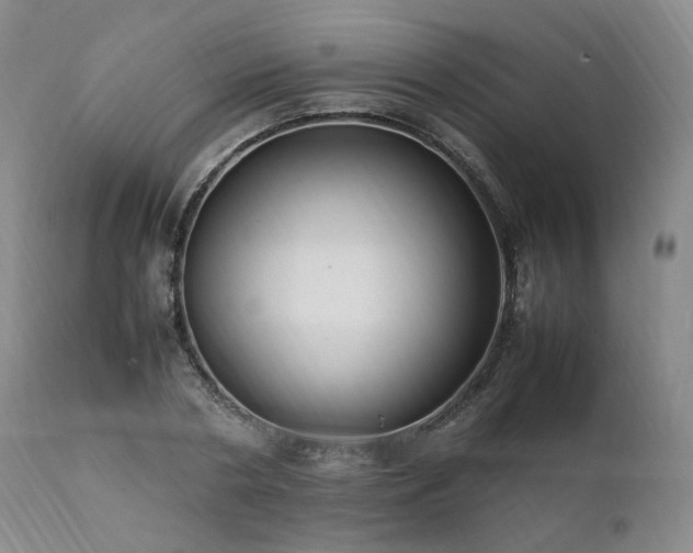 X0000111950786200907271436