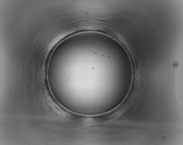 X0000111950787200907271436