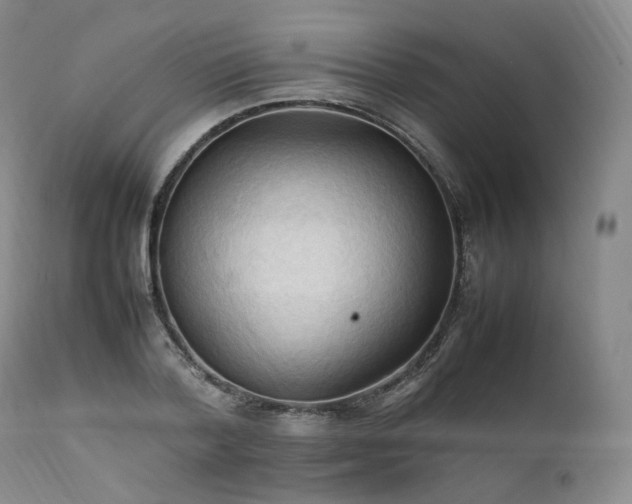 X0000111950788200907271436