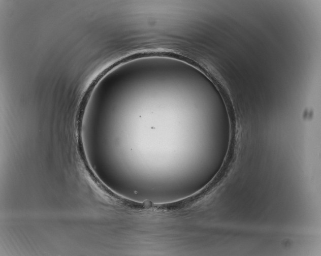 X0000111950789200907271436