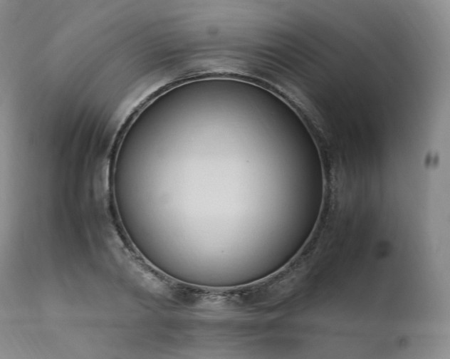 X0000111950790200907271436