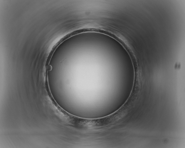 X0000111950791200907271436