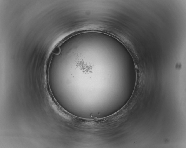 X0000111950792200907271435