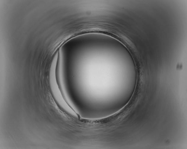 X0000111950793200907271435