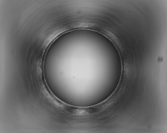 X0000111950794200907271435