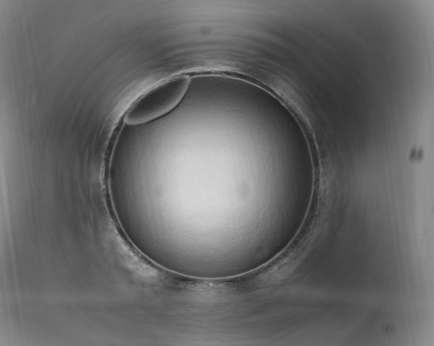 X0000111950797200907271435