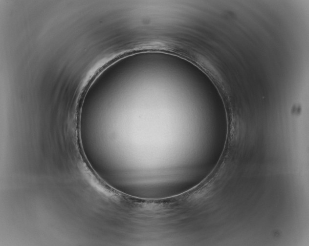 X0000111950800200907271435