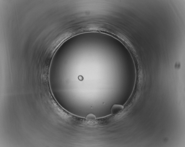 X0000111950801200907271435