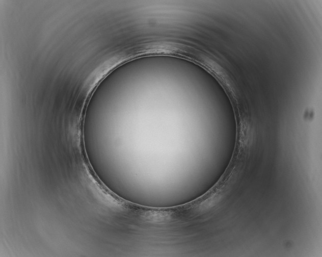 X0000111950802200907271435