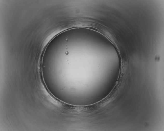 X0000111950803200907271435