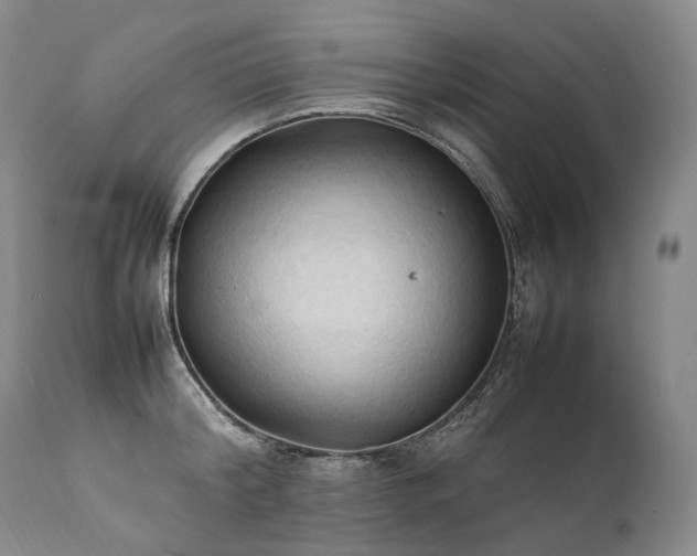 X0000111950804200907271435