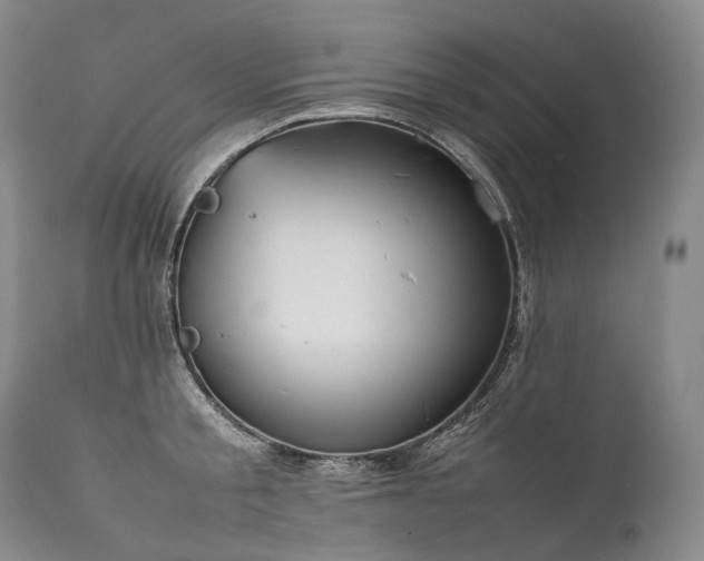 X0000111950805200907271435
