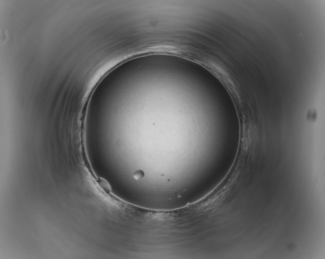 X0000111950808200907271435
