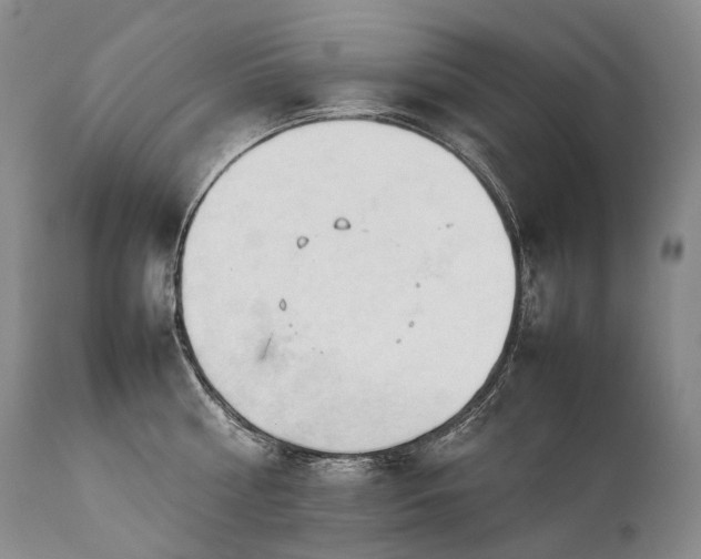 X0000111950810200907271435