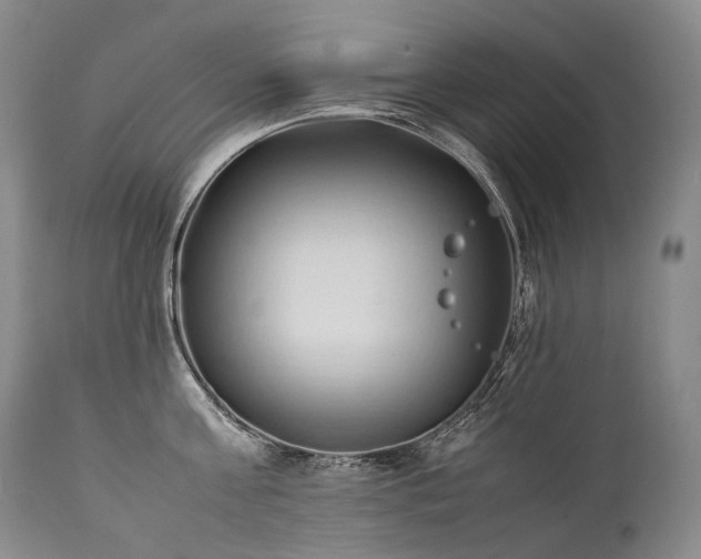 X0000111950811200907271435