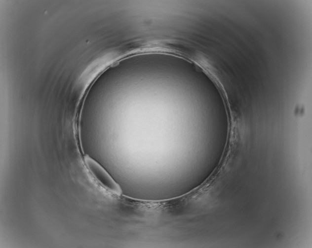 X0000111950813200907271435