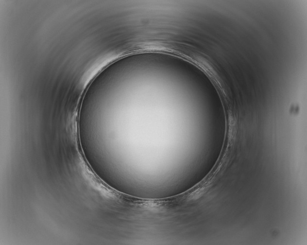 X0000111950814200907271435