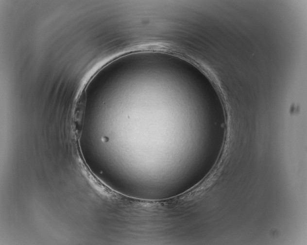 X0000111950816200907271435