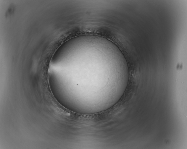 X0000111950817200907271434