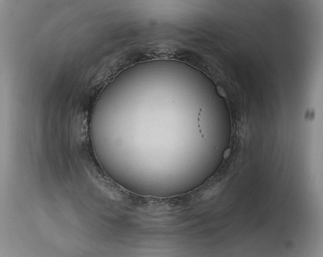 X0000111950818200907271434